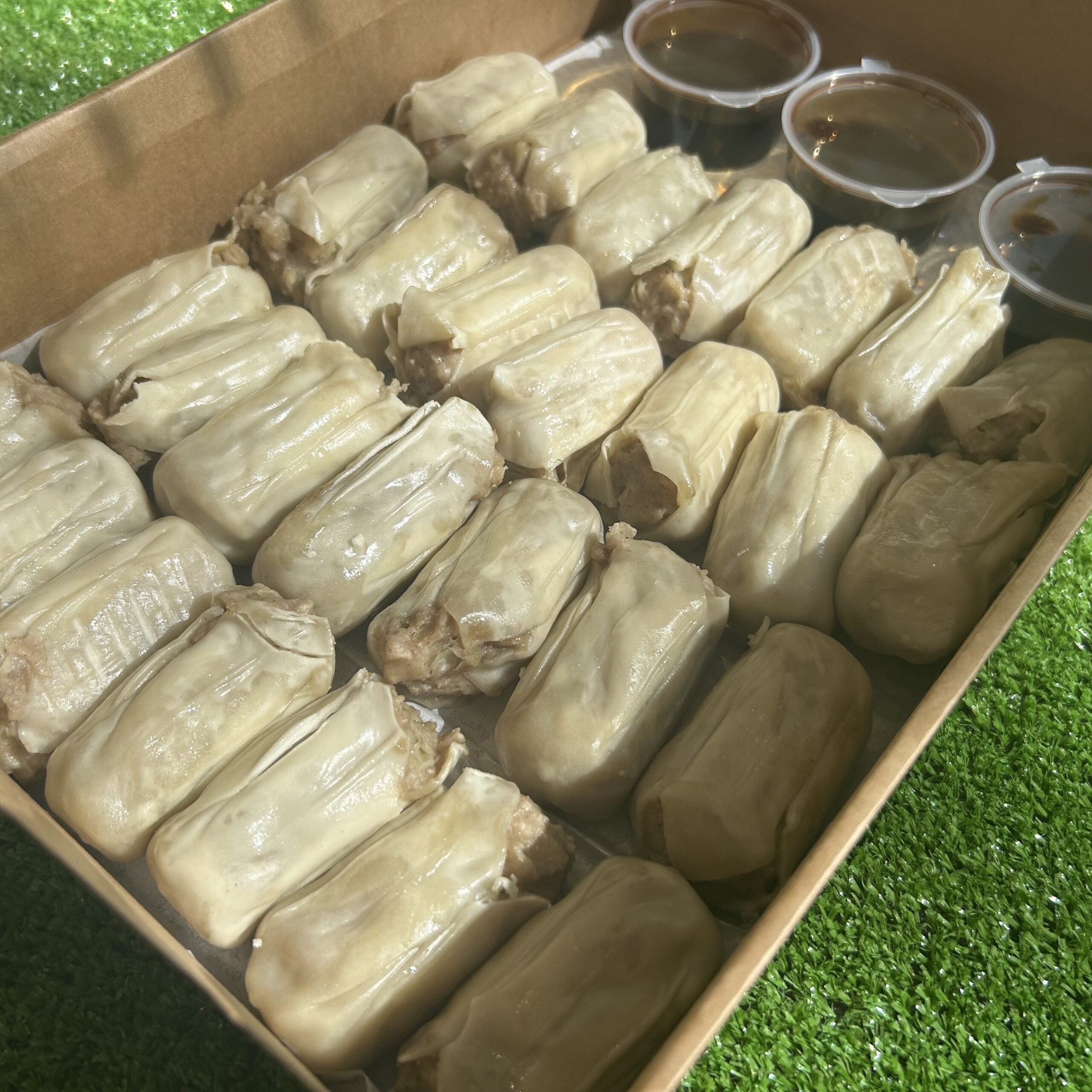 Chicken Dim Sim